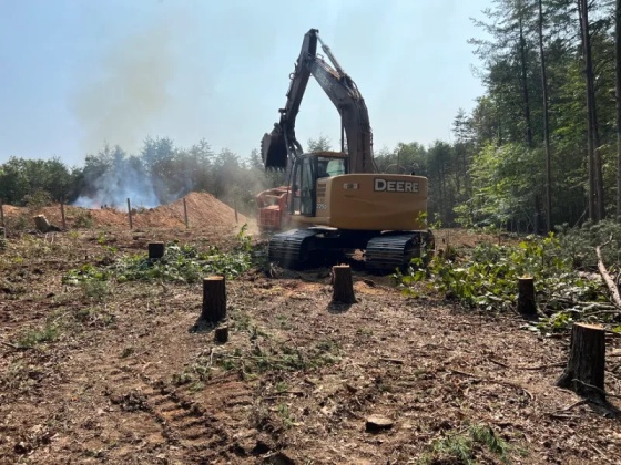 Acreage land clearing in Rusk County by D4 Land Clearing featuring forestry mulching, brush removal, pasture reclamation, and large property site preparation.