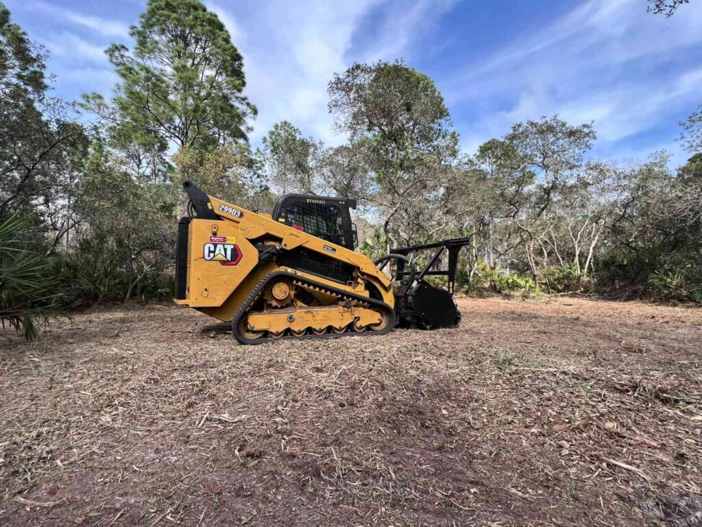 Eco friendly land clearing in Rusk County by D4 Land Clearing using forestry mulching and sustainable vegetation management practices.