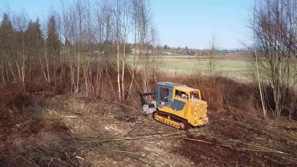 Affordable forestry mulching in Rusk County by D4 Land Clearing clearing brush, small trees, and overgrown vegetation for improved land use and accessibility.