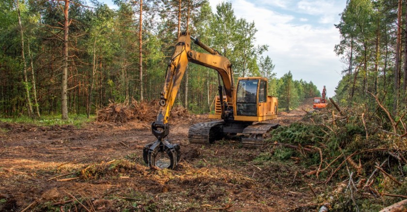 Professional mulching contractor in Rusk County providing forestry mulching, brush clearing, vegetation management, and land improvement services.